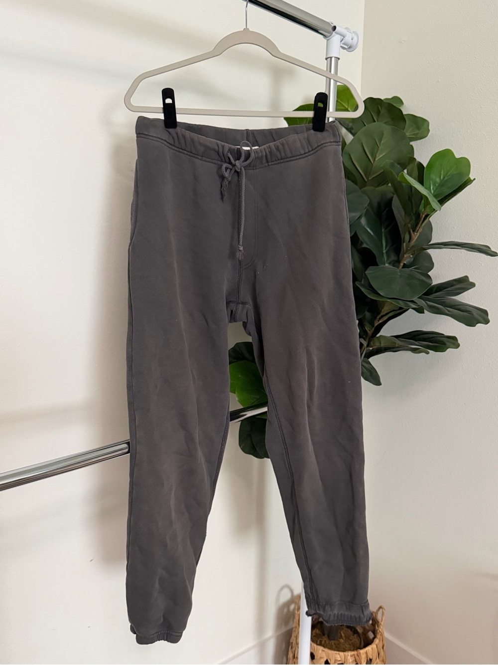 Elwood Organic Cotton Joggers - Picture 2 of 5